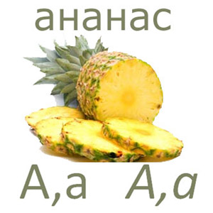 bilder/ananas_uka.jpg