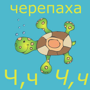 schildkroete_uktsch.jpg schildkroete_uktsch.jpg