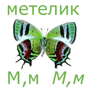 schmetterling_ukm.jpg schmetterling_ukm.jpg