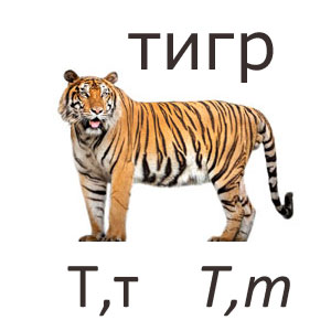 tiger_ukt.jpg tiger_ukt.jpg