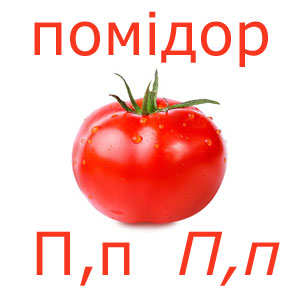 Bild tomate_ukp.jpg