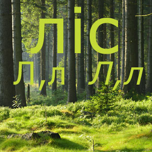 wald_ukl.jpg wald_ukl.jpg
